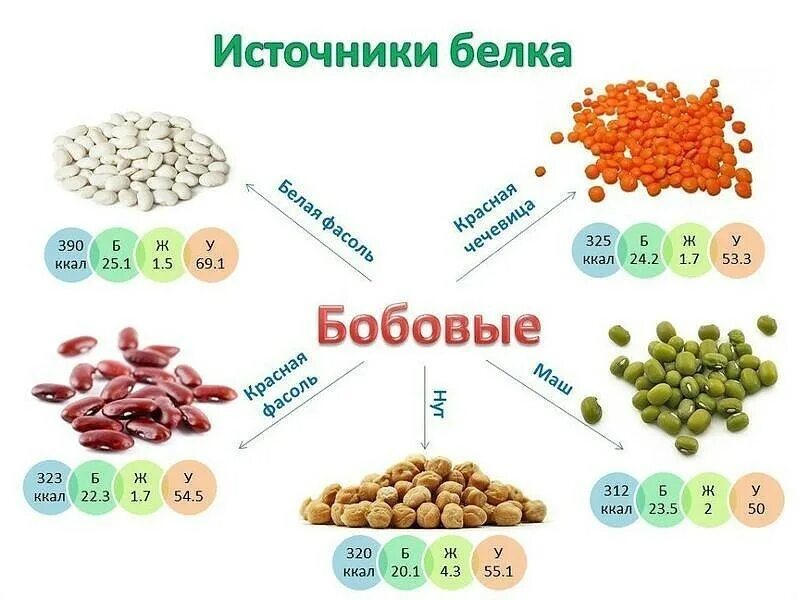 Сколько бобовых