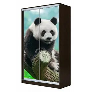 Панда каталог