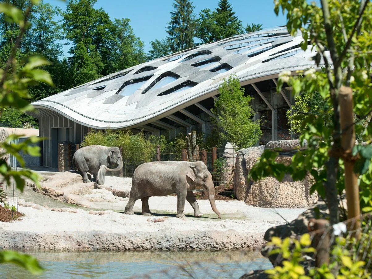 Zurich зоопарк Цюриха. Зоопарк Цюриха в Швейцарии. Zürich Zoologischer Garten Цюрих. Зоопарк «Zoo Osnabrück» в Оснабрюке. Посетив зоопарк мной были сделаны фотографии животных