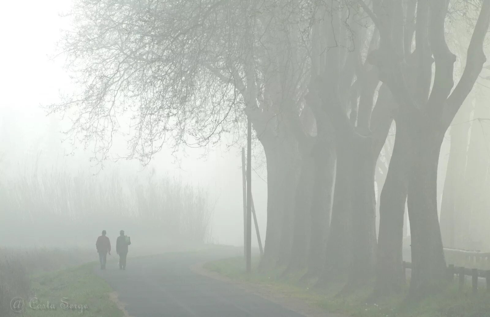 Затерявшийся вдали. Человек в тумане. Силуэт в тумане. Силуэты деревьев в тумане. Фигура в тумане.
