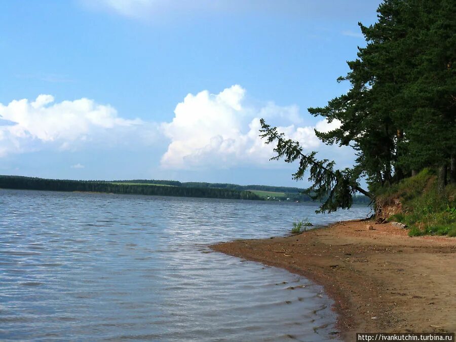 Белая Холуница пруд. Белая Холуница водохранилище. Белая Холуница озеро. Белохолуницкий пруд в Кировской области. Белое водохранилище