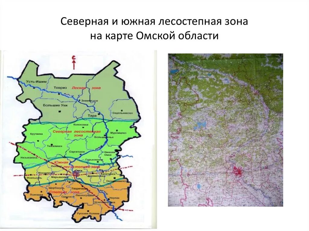 Автономный округ омской области. Природные зоны Омской области карта. Северная лесостепь Омской области. Северная лесостепная зона Омской области. Рельеф Омской области карта.