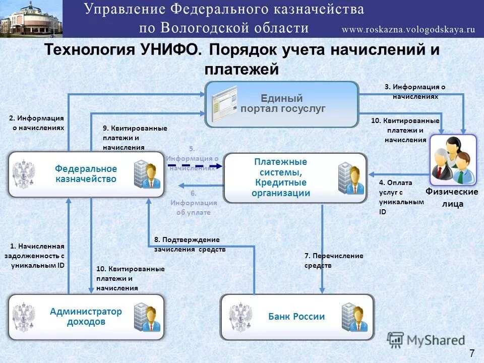 Сведения казначейство