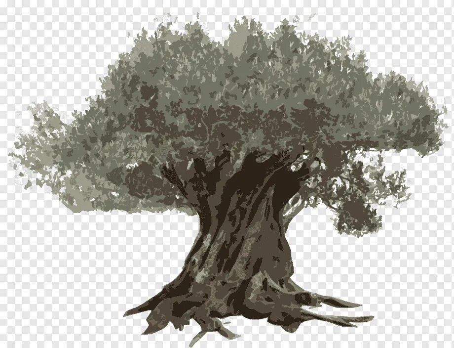 Дерево в иллюстраторе. Дерево в иллюстраторе. Дерево в адоб иллюстратор. Дерево в адоб иллюстратор. Дерево в иллюстраторе.