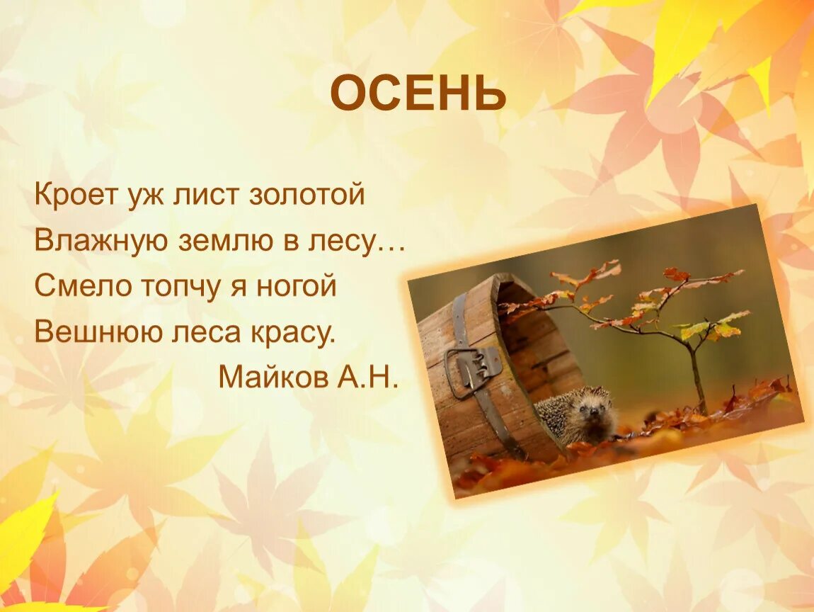 Песня золотой лист. Кроет уж лист золотой влажную землю. стих осень кроет уж лист золотой. кроет уж лист золотой размер стиха. кроет уж лист золотой размер.