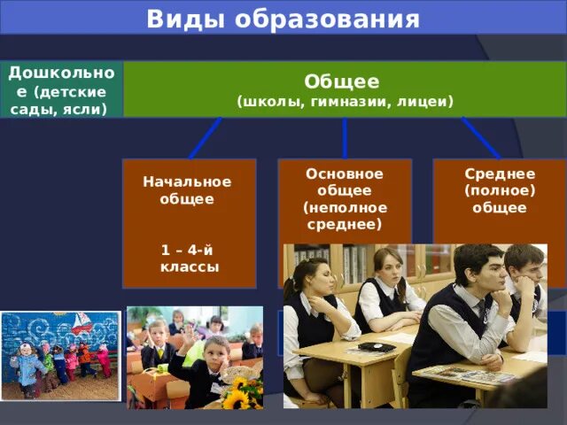 Чем отличается гимназия от лицея и школы. Виды образования. Образование виды образования. Типы школьного образования. Виды образования в РФ.