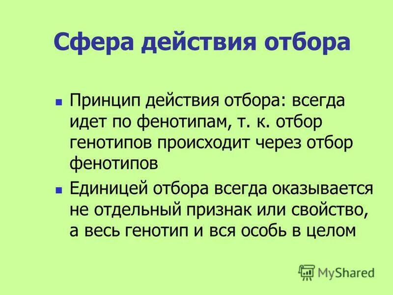 Отбор и подбор животных схема. Отбор по фенотипу. Методы отбора собак. Отбор по фенотипу. Отбор, производимый по фенотипу.