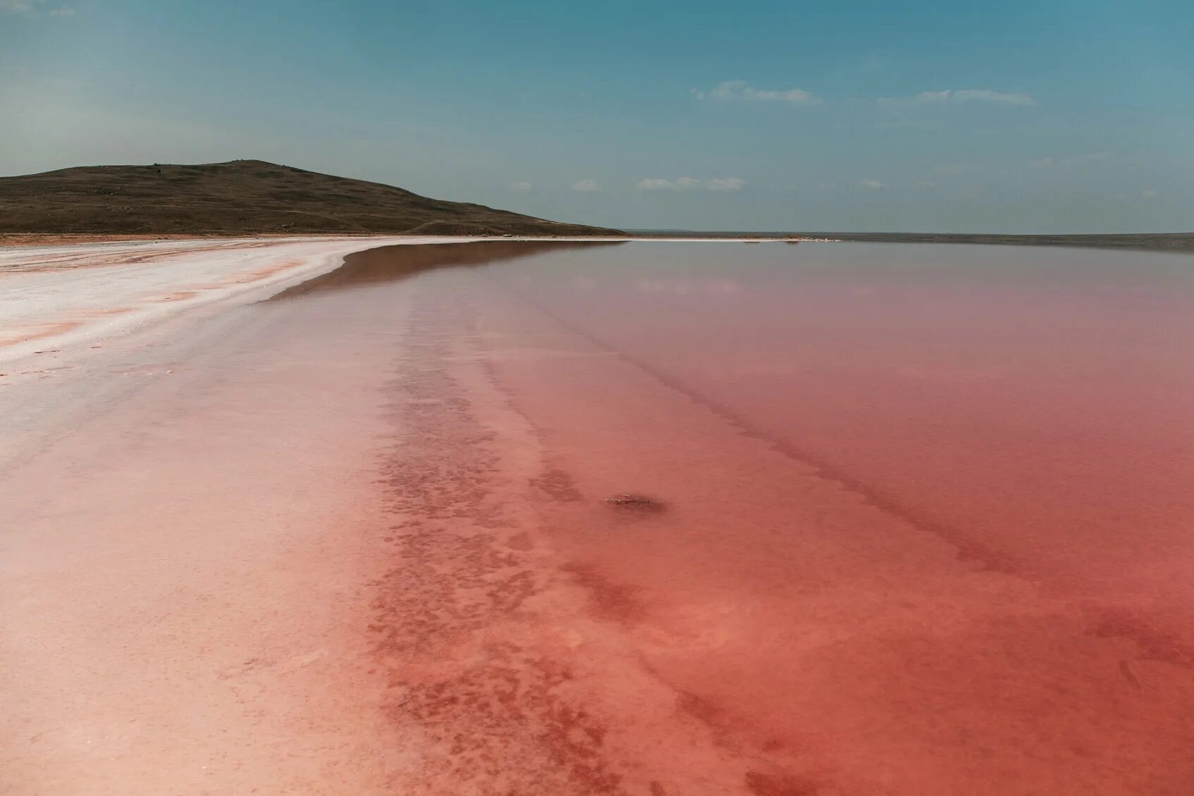 Розовый водоем в крыму. Кояшское соленое озеро в Крыму. Кояшское розовое озеро в Крыму. Опук розовое озеро в Крыму. Кояшское озеро Евпатория.