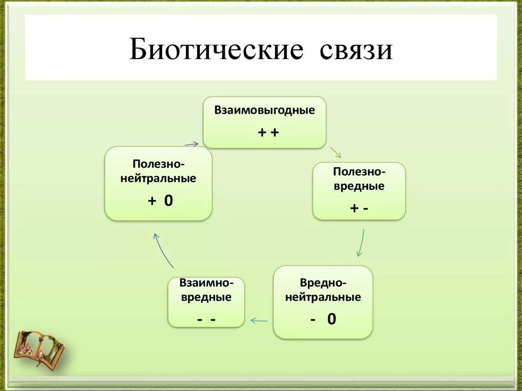 Биотические связи. Биотические взаимоотношения. Биотические взаимоотношения схема. Типы биотических связей схема.