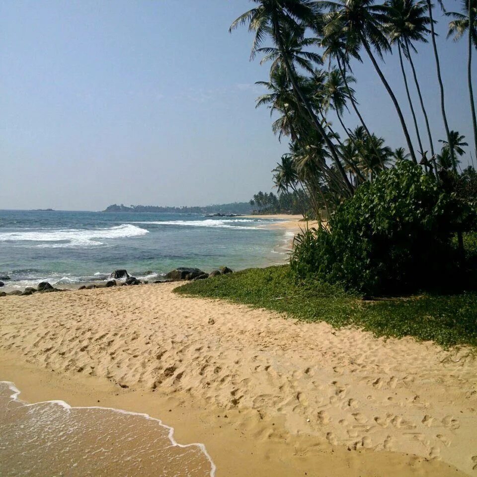 Унаватуна Шри Ланка. Shanthi Beach Resort 2*. Унаватуна Коломбо. Shanthi Beach Resort Унаватуна.