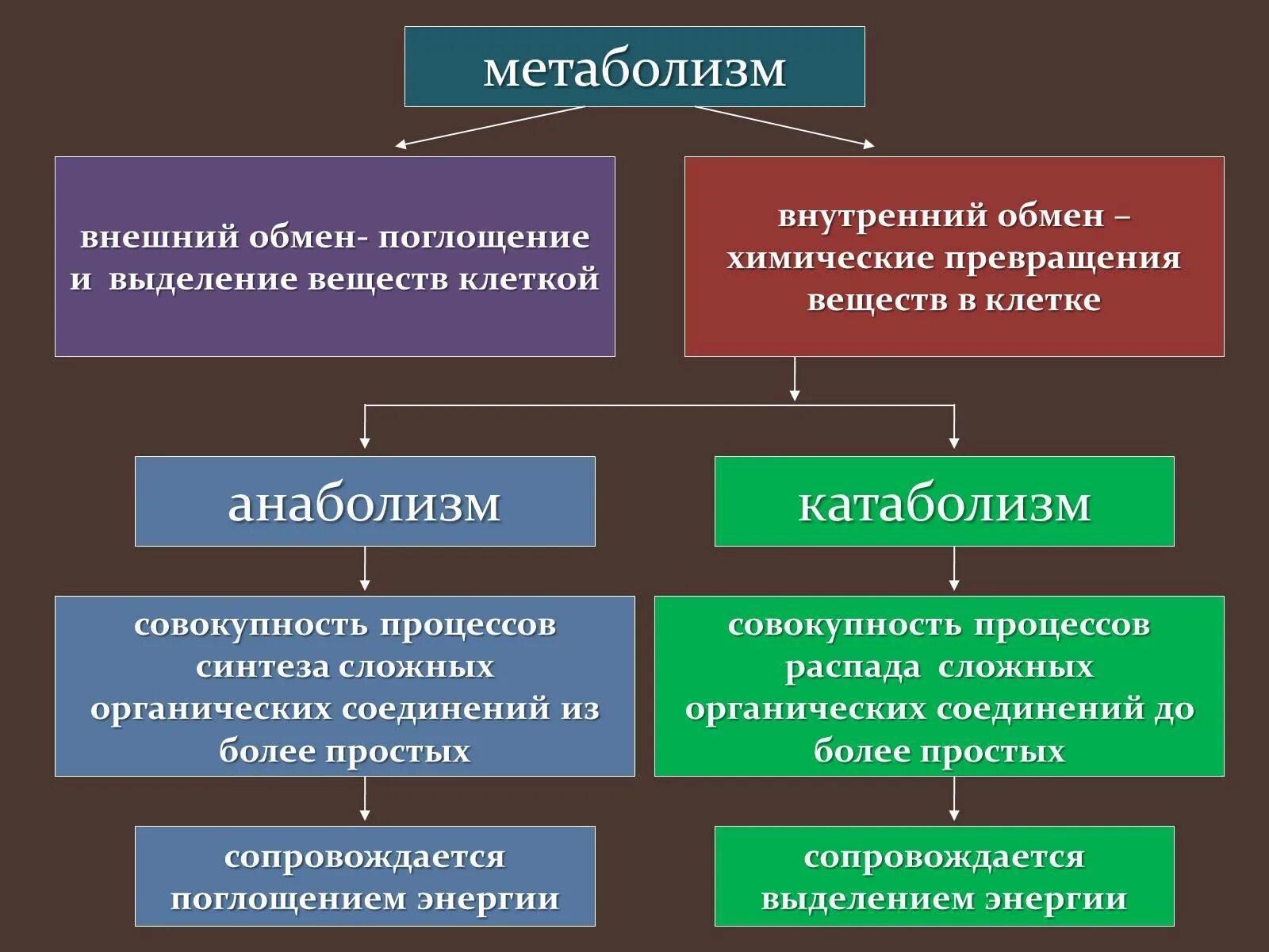 Привести примеры обменов. Понятия о метаболизме, катаболизме и анаболизме. Понятие обмена веществ катаболизм метаболизм анаболизм. Процессы катаболизма и анаболизма. Анаболические и катаболические процессы.