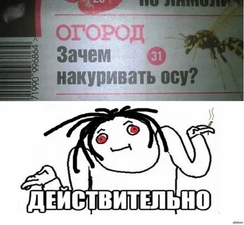 Получили действительно в 5 5