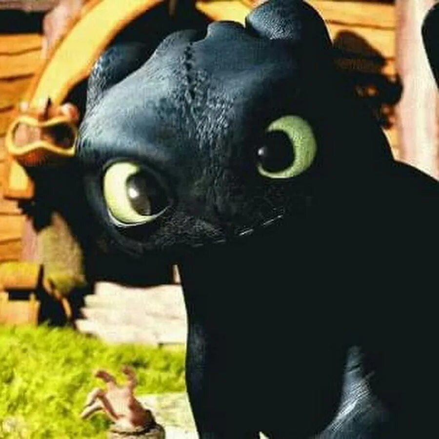 Dancing toothless gif. Анимация беззубика. Беззубик гифка. Dancing toothless gif. Беззубик мультфильм белый.