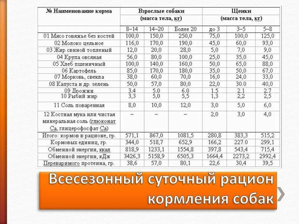 Рацион щенятам немецкой овчарки. Суточные рацион для щенка немецкой овчарки. Рацион кормления собак натуральным кормом. Недельный рацион питания для щенка немецкой овчарки. Нормы кормления собак натуральным кормом таблица.