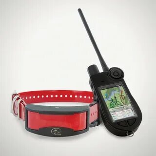 Gps для охотничьей собаки