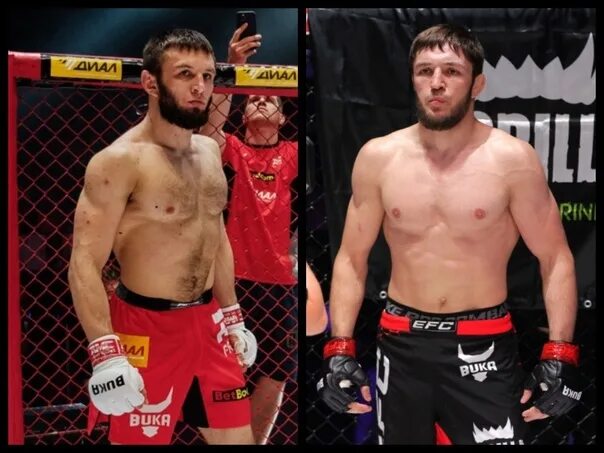 даниял джамалутдинов fight nights. пояс файт найт. берлинский бойцовский клуб. Broke boys fight nights. Broke boys fight nights.