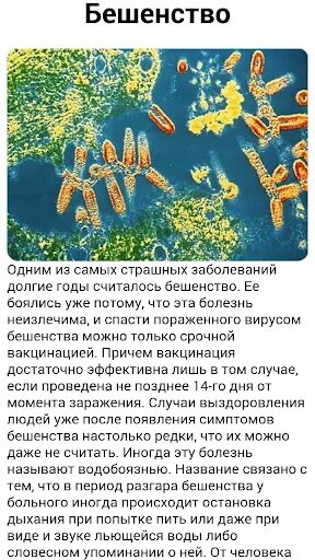 Интересные вирусы. Самые опасные вирусы. Самые опасные вирусы человека. Сообщение самые опасные вирусы. Самые опасные вирусы человечества.