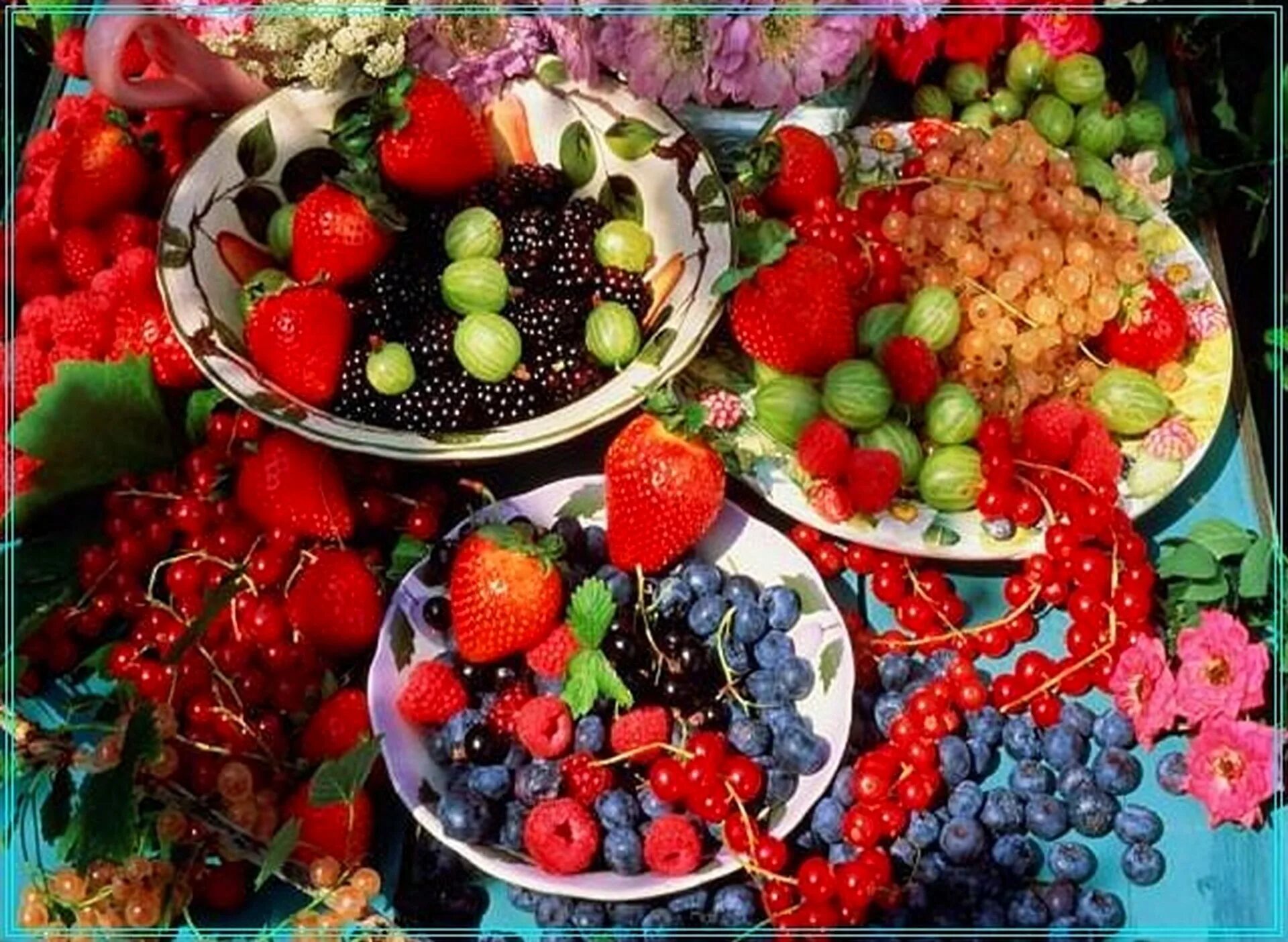 Зима лето фрукты овощи. Фрукты и ягоды. Лето фрукты ягоды. Красивые фрукты. Лето ягоды.