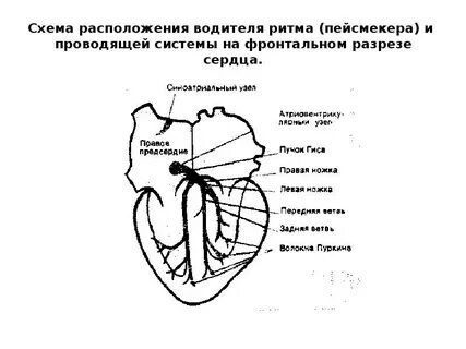Автомобилист схема