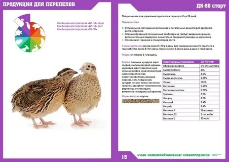 Кормлю перепелов комбикормом