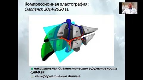 Где сделать эластометрию печени в нижнем новгороде