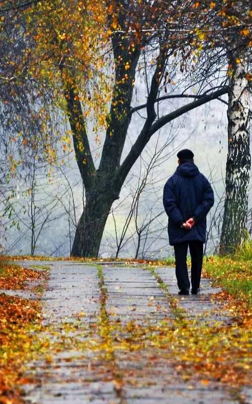 Осень люди. Осеннее одиночество. Осень одиночество. Люди осенью. Брожу по осеннему лесу