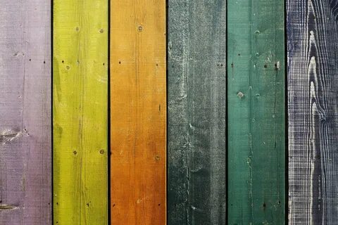 Colorful woods