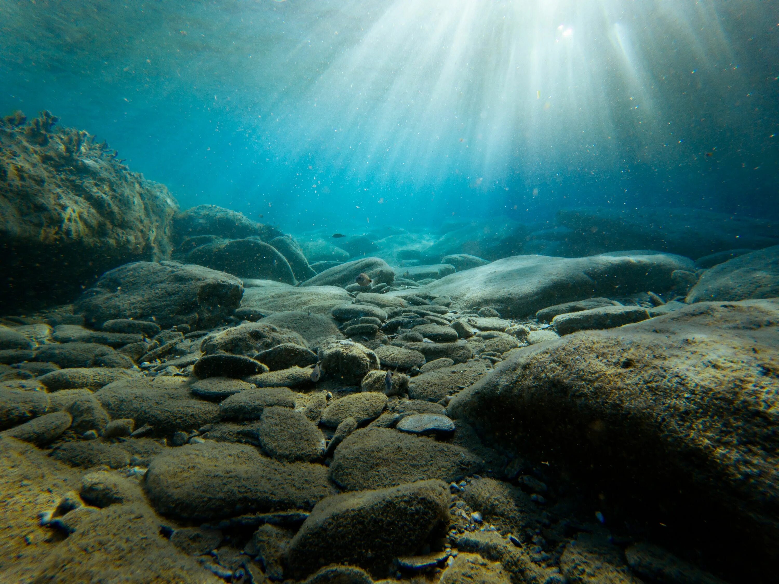 Ocean inside