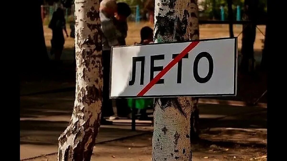 Лето закончилось. Кончится лето. Лето заканчивается прикол. Последний день лета прикол. Конец лета чем закончился