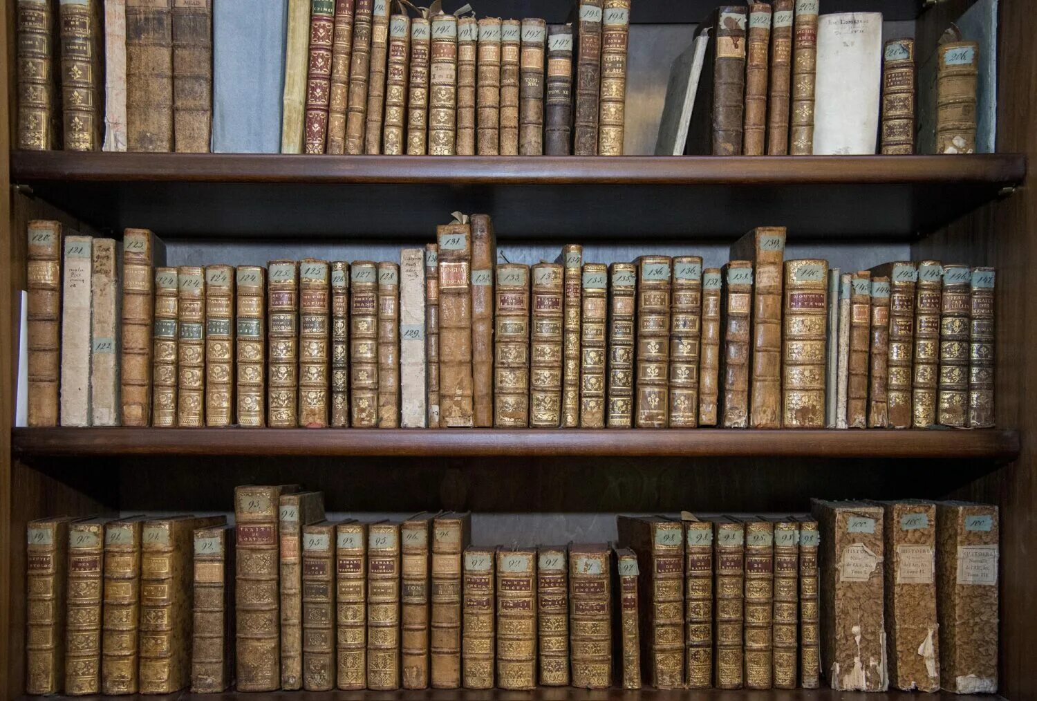 Бесплатные книги в петербурге. Национальная библиотека санкт-петербург. Дом зингера в санкт-петербурге книжный магазин. Библиотека питер парк победы. Бесплатные книги в петербурге.