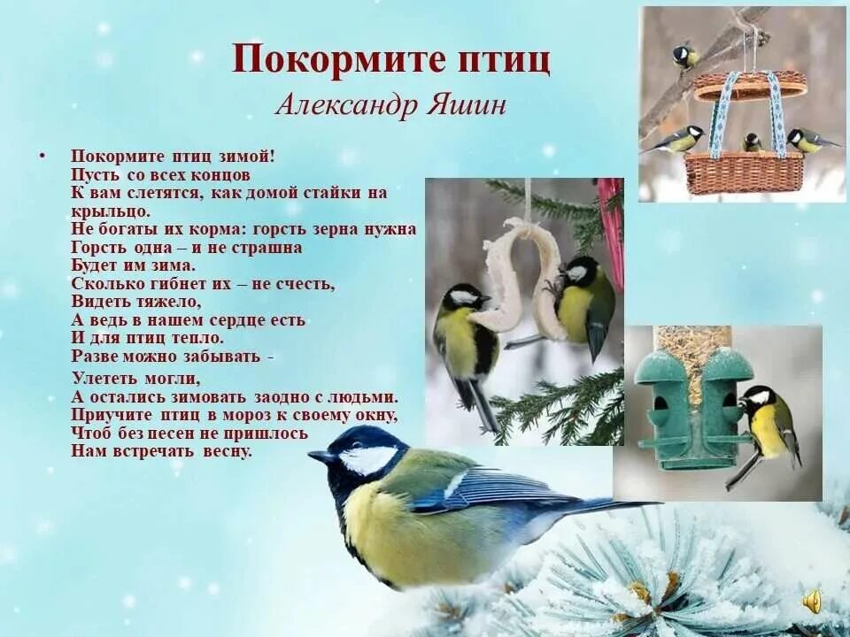 Праздник птиц 1 класс. 12 ноября праздник синичкин день. 12 ноября синичкин календарь. экологический праздник синичкин день 12 ноября. календарь синичкин день.