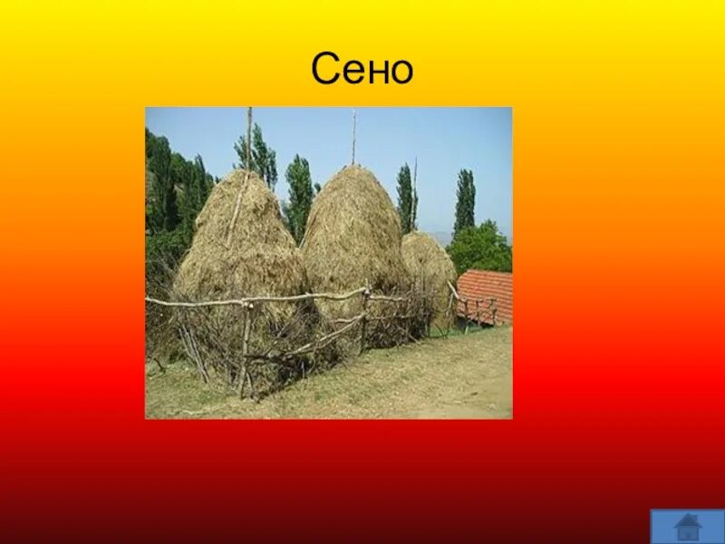 Сена длина. Сено надпись. Слово сено. Сено с надписью для презентации. Ринг из сена.