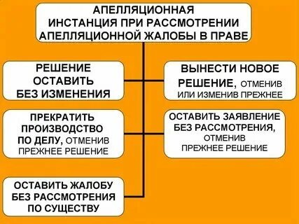 Что рассматривает апелляционная инстанция