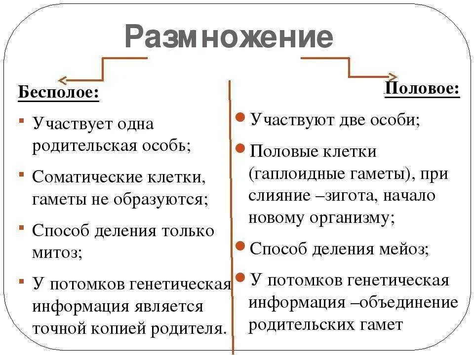 Отличия бесполого размножения. Таблица сравнения бесполого и полового размножения 6 класс. Бесполое размножение и половое размножение таблица различия. Сравните бесполое и половое размножение таблица. Половое и бесполое размножение сравнение таблица.