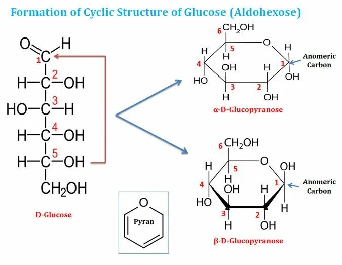 Хиральные атомы Глюкозы. Glucose structure. Хиральные атомы углерода. Атомы углерода в глюкозе.