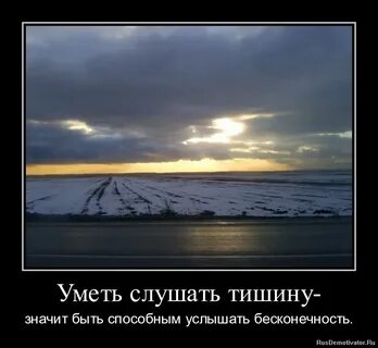 Не надо звуков в тишине