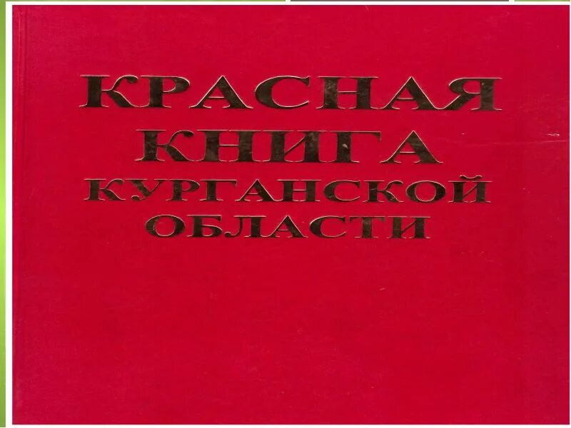 Книга зауралья. Хрестоматия зауралья. Книга зауралья. Книга зауралья. История земли курганской книга.