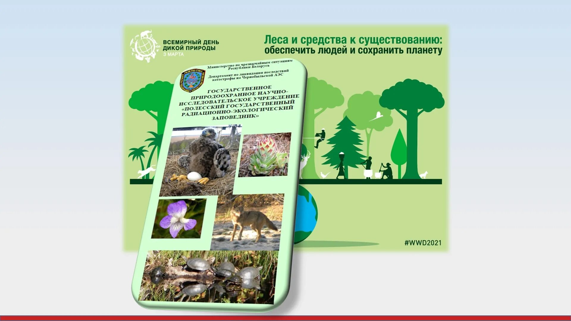 Акция атлас природы пост. Всемирный день дикой природы. всемирный день дикой природы презентация. всемирный день дикой природы презентация для детей.