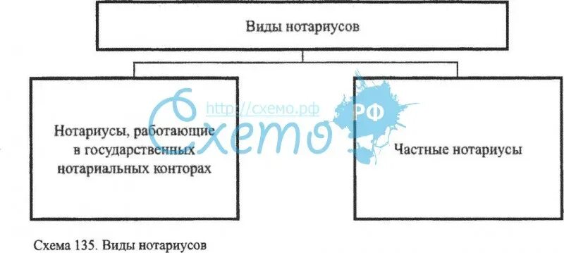 Какие налоги нотариусы. Нотариат схема. Нотариус схема. Различия частных и государственных нотариусов. Нотариат частный и государственный различия.