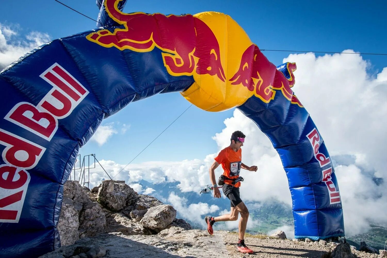 25. Компания ред булл. Red bull куруба. Red bull. Htl ,ek [1010.