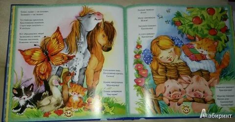 Чудо книга читать полностью