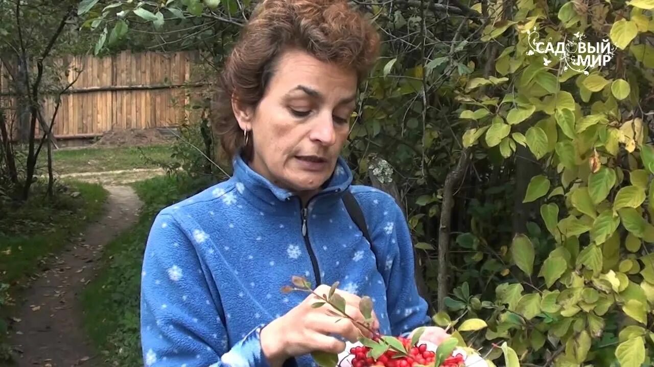Садовый мир уход. Садовый мир уход. Садовый мир. Садовый мир уход. Садовый мир уход.