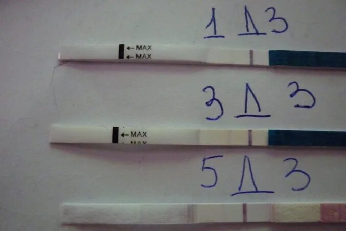 Тест сначала отрицательный потом. Тест до задержки. Тесты до задержки месячных. Тест на беременность показывает. Тест на беременность задержка.