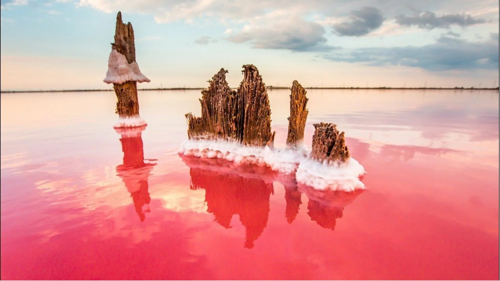 Розовый водоем в крыму. Сасык Сиваш озеро. Кояшское озеро в Крыму. Керчь Сасык Сиваш. Соляное озеро Сиваш.