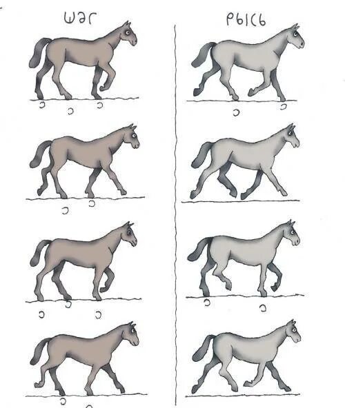 Кентер аллюр лошади это. Походка лошади. Походка лошади. Рысь аллюр лошади. Иноходь на шагу у лошади.