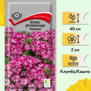 Духи с запахом флоксов