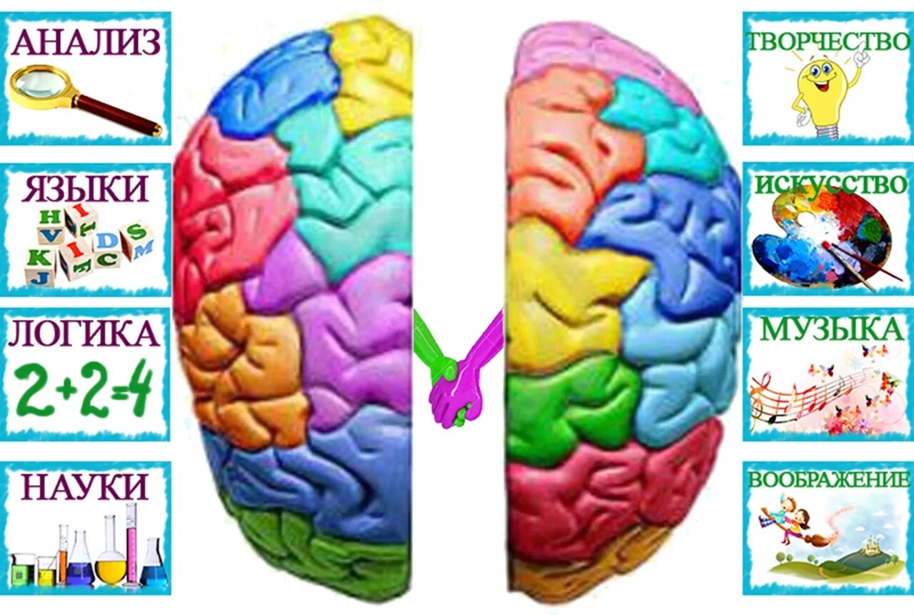 Второе полушарие мозга. Межполушарное взаимодействие. Занятия для развития двух полушарий мозга. Занятия для правого полушария. Упражнения для полушарий мозга.