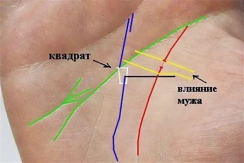 Пересечь линию 61. Линия пересекающая линию жизни. Линия влияния на руке. Пересечение линий на руке. Пересечение линии судьбы и жизни.