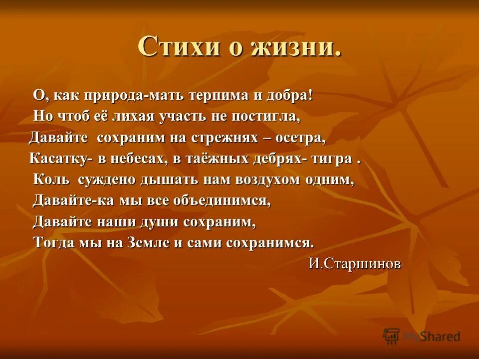 Стихи про жизненные. Жизненные стихи. Стихотворение серьезное. Лирическое четверостишье о смысле жизни. Стих жизненный урок.