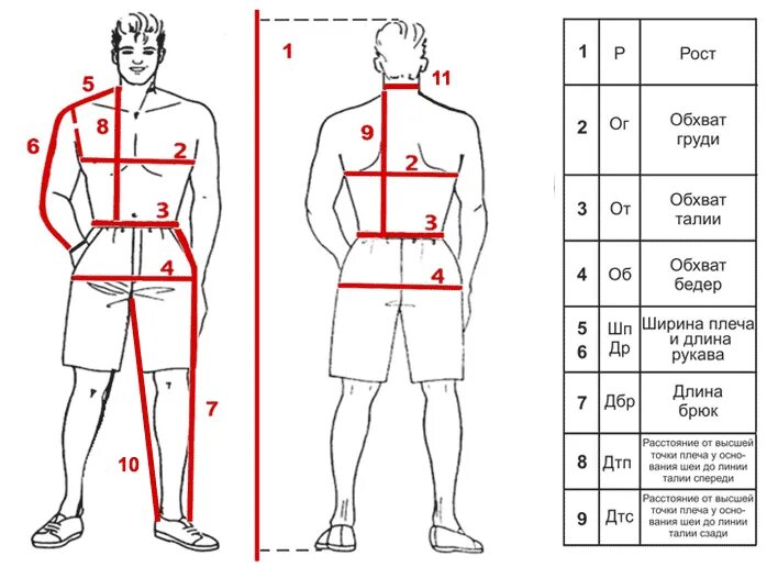 Измерение окружности тела. Как замерить обхват груди и талии у мужчины. Как правильно измерить Размеры тела для одежды мужской таблица. Мерки для мужского костюма. Замеры одежды мужской.